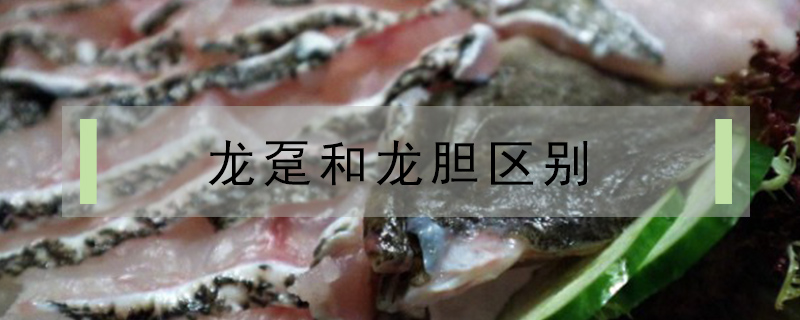 龍躉和龍膽區(qū)別