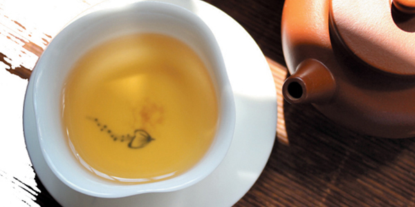 福鼎白茶屬于什么茶類