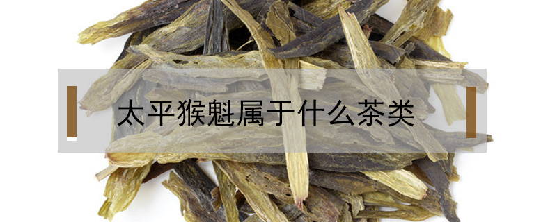 太平猴魁屬于什么茶類