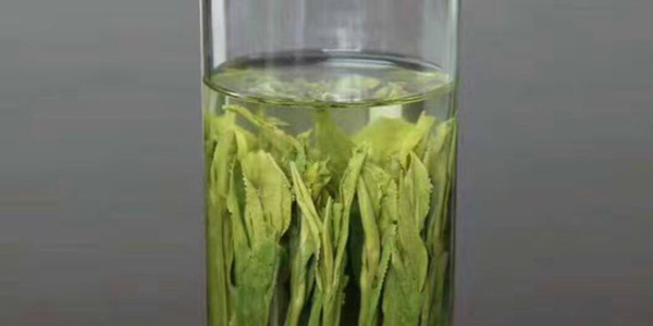 太平猴魁屬于什么茶類