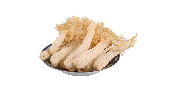 竹蓀是怎么長出來的