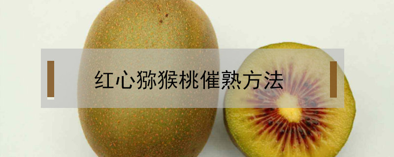 紅心獼猴桃催熟方法