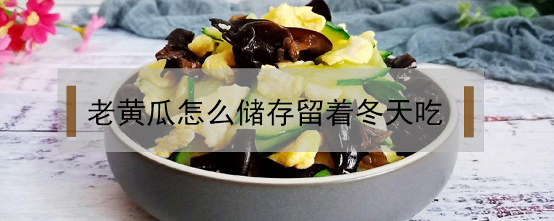 老黃瓜怎么儲(chǔ)存留著冬天吃