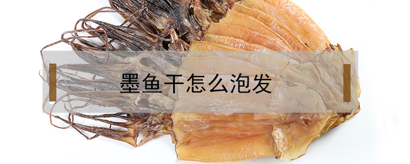 墨魚干怎么泡發