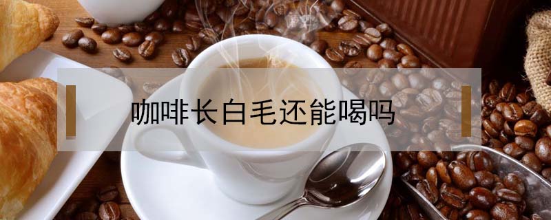 咖啡長(zhǎng)白毛還能喝嗎