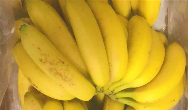 無花果不熟怎么放能熟