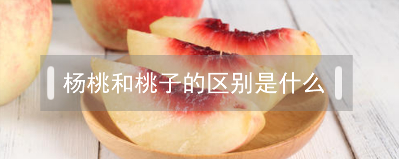 楊桃和桃子的區別是什么