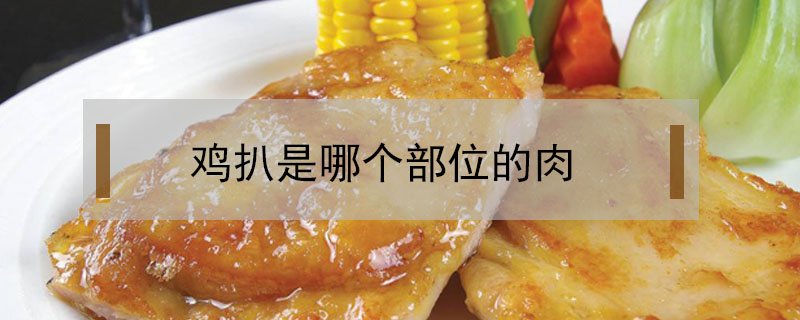 雞扒是哪個(gè)部位的肉