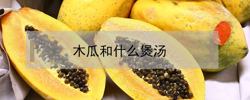 木瓜和什么煲湯