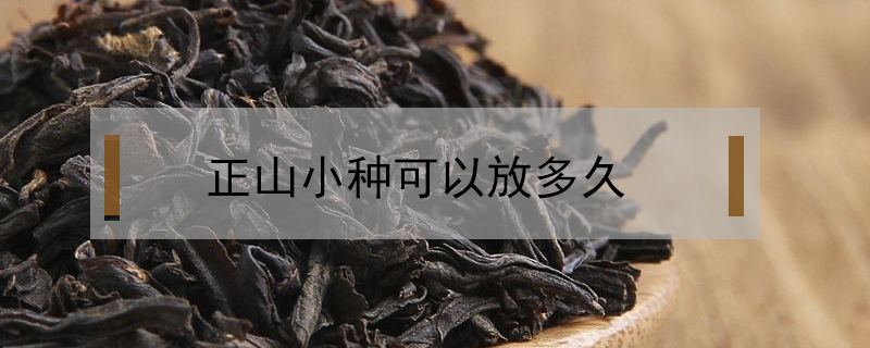 正山小種可以放多久