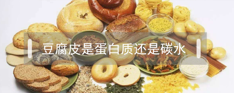 豆腐皮是蛋白質(zhì)還是碳水