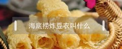 海底撈炸豆衣叫什么