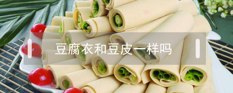 豆腐衣和豆皮一樣嗎
