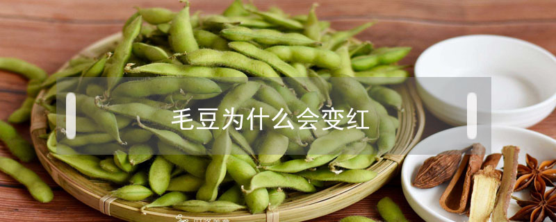 毛豆為什么會(huì)變紅