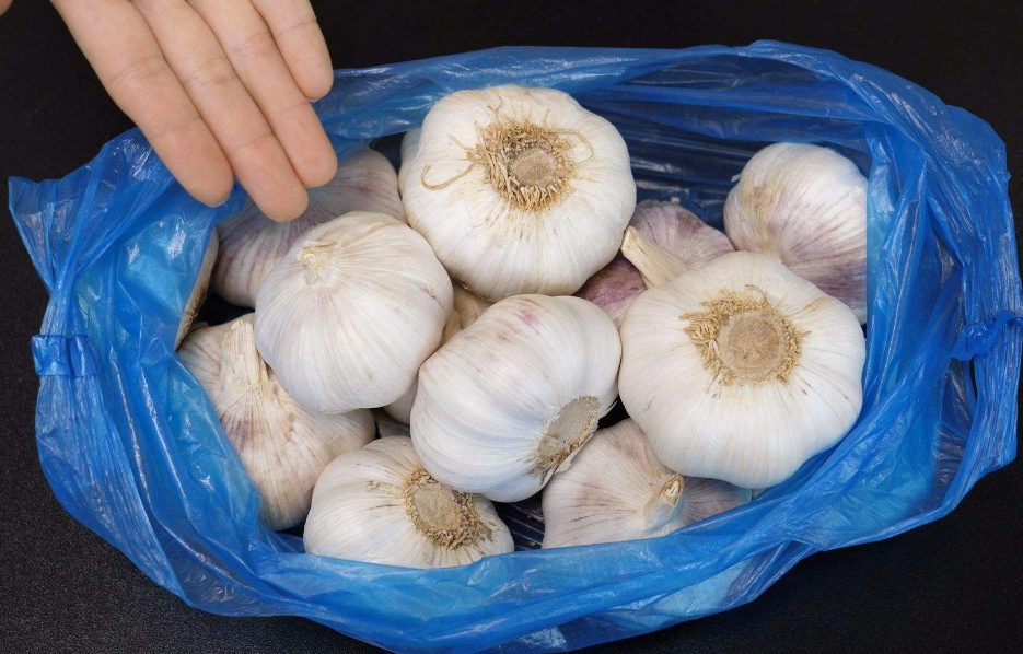 家庭怎樣保存大蒜不發(fā)芽