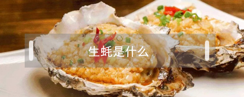 生蠔是什么