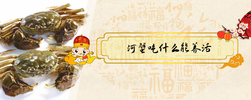 河蟹吃什么能養(yǎng)活