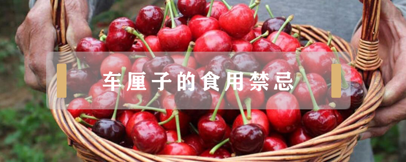 車?yán)遄拥氖秤媒?></a>
						<a href=