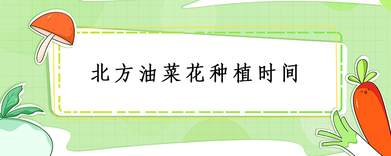 北方油菜花種植時間