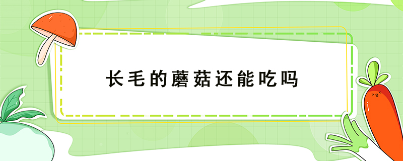 長(zhǎng)毛的蘑菇還能吃嗎