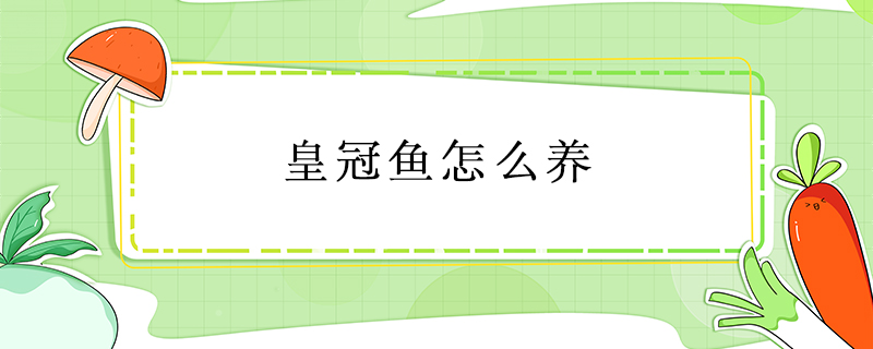皇冠魚怎么養(yǎng)