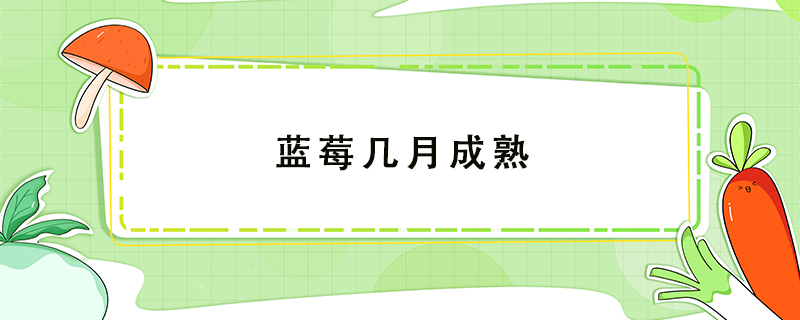 藍(lán)莓幾月成熟