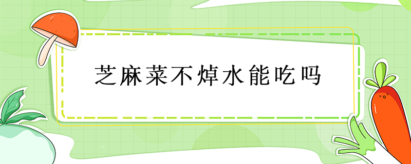 芝麻菜不焯水能吃嗎