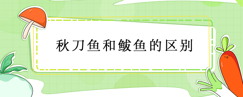 秋刀魚(yú)和鲅魚(yú)的區(qū)別