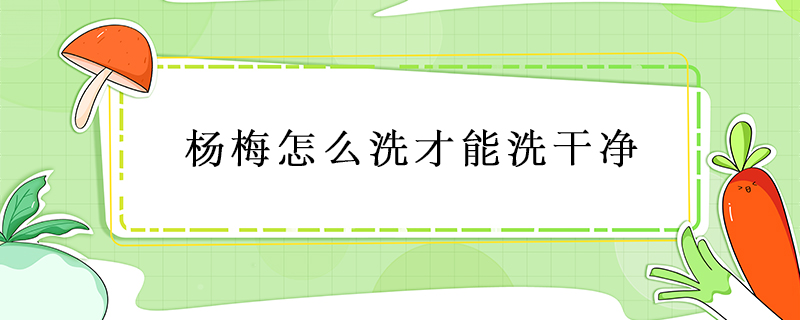 楊梅怎么洗才能洗干凈