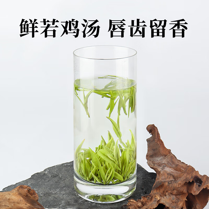 綠茶的沖泡方法
