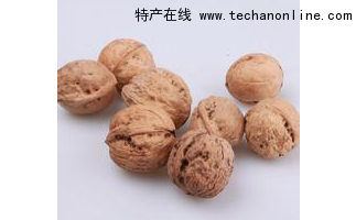 黃花山核桃