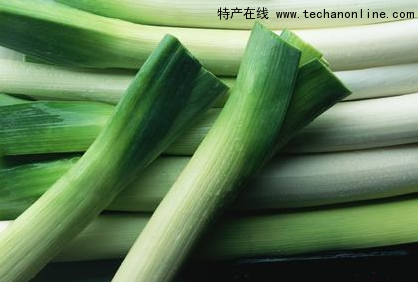 寶坻大蔥