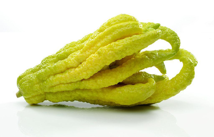 香櫞