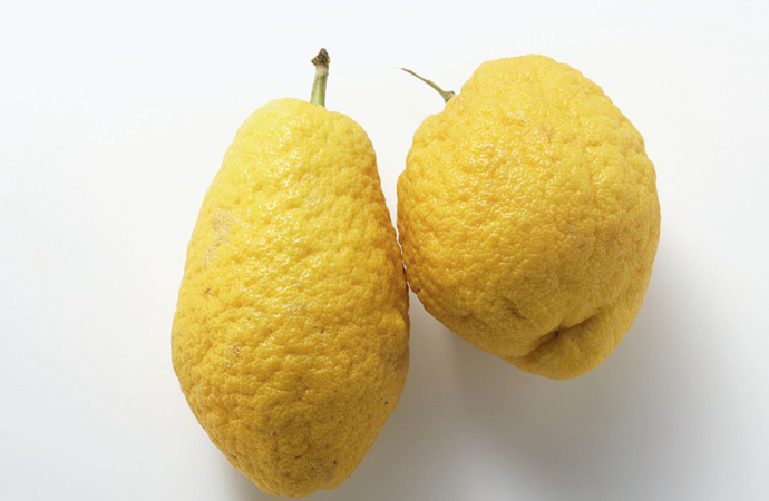 香櫞